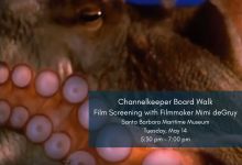 Ocean Film Screening with Filmmaker Mimi deGruy