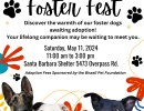 Find Your Forever Adoptable Friend at Foster Fest!