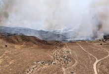 Grassfire Consumes 1,400 Acres Outside Cuyama