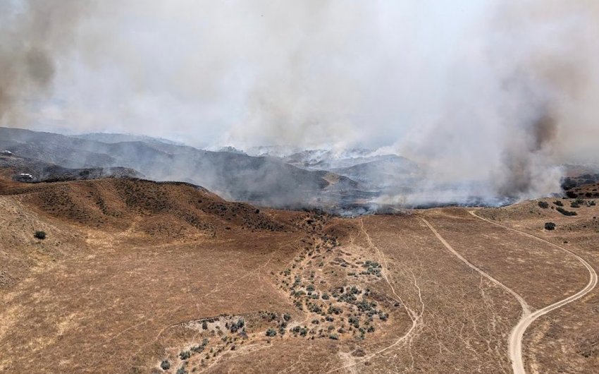 Grassfire Consumes 1,400 Acres Outside Cuyama