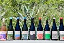 Chasing Wine Dreams and Embracing Curiosity with Trippers & Askers