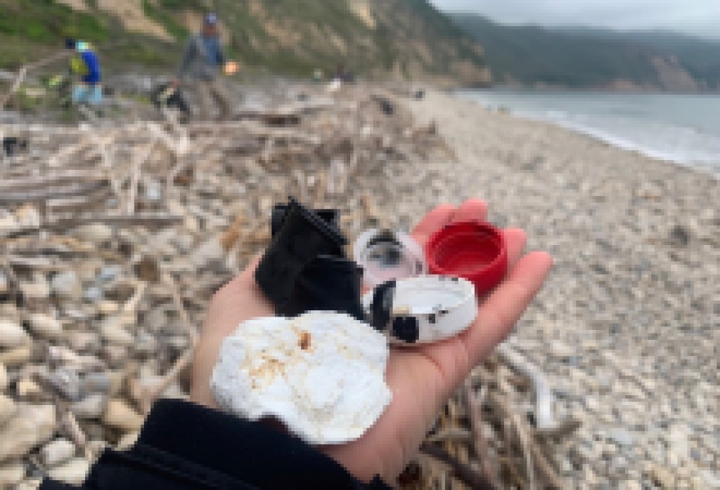 Volunteers and Fishermen Clear Marine Debris from Santa Cruz Island