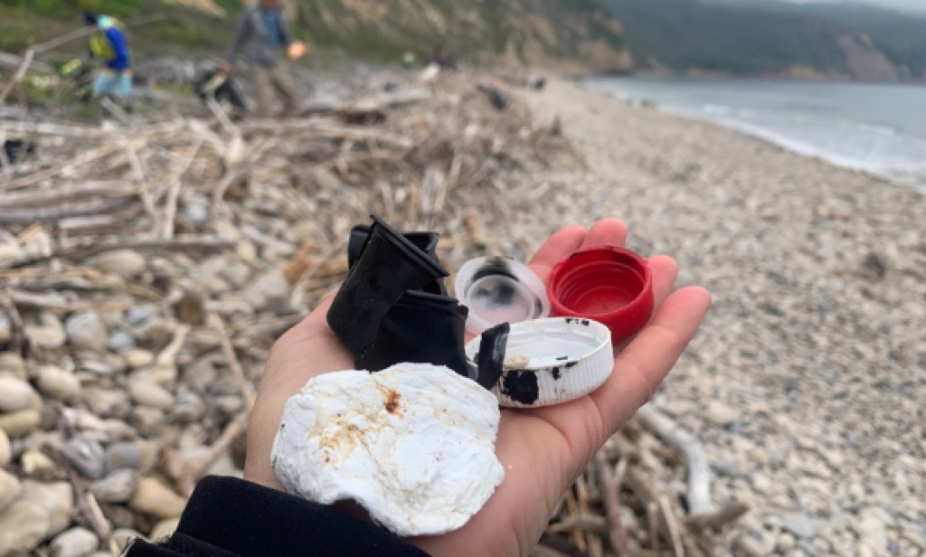 Volunteers and Fishermen Clear Marine Debris from Santa Cruz Island