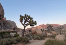 Joshua Tree by Day and Night, Town and Rugged Country