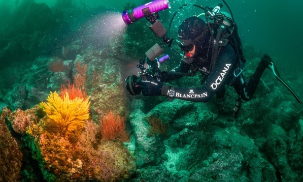 Oceana and Blancpain Conduct Ocean Expedition Around the Channel Islands 