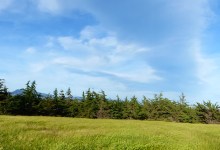 Kuya’mu:  The Cultural Heritage of Naples