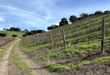 Santa Barbara Winemakers Renew Push for Business Improvement District