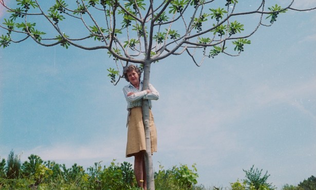 Santa Barbara’s Annual Ode to Julia Child