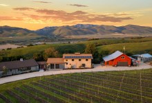 The Home Page | Dogs in the Hills and Downward Dogs at the Beach