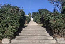 An Ode to Eight Juniper Trees