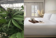 Santa Barbara County Supervisors Weigh Bed-Tax Hike Against Cannabis Tax Reform