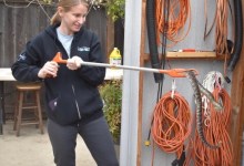 Rattlesnake Season Strikes Fear in Santa Barbara Backyards