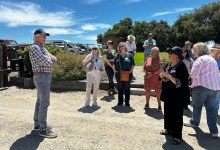 A Santa Barbara Summertime Smorgasbord