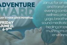 The Adventure Inward – Yoga, Breathwork, Sound Meditation