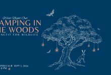 Wild Night Out 2024 – “Glamping in the Woods”