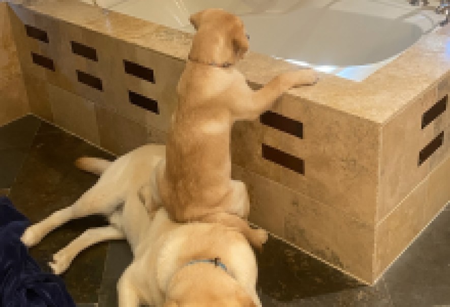 Meet the Fido Photo Contest Winners!