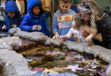 Celebrate Our Oceans at the Sea Center on Stearns Wharf