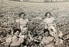 Anything For a Celebration