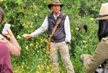 Summer Medicinal Plant Workshop in Ojai