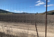 Cannabis Tax Reform Limps to an Uncertain Finish Line