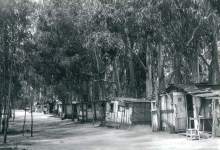 Homeless in Santa Barbara: From Hobo Jungle to Living in Cars