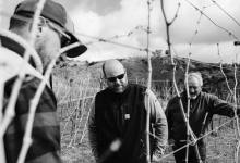 Ojai Mountain Estate’s Towering Terroir