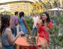 Members Only: Butterfly Happy Hour