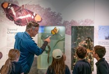 Behind the Glass: Insider Hall Tour at SBMNH