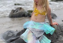 Carpinteria History Museum’s Marketplace