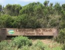 Carpinteria Salt Marsh Herb Walk with Lanny Kaufer