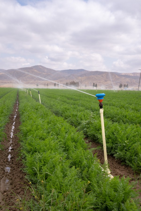 Draining Groundwater and Pocketbooks in the Cuyama Valley The Santa