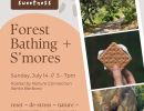 Summer Sweetness: Forest Bathing + S’mores