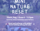 Mini Nature Reset: Evening Forest Bathing
