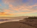 Guided Tour of Coal Oil Point Reserve