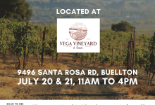 Community Market @ Vega Vineyard and Farm