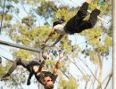 Santa Barbara Trapeze Co. Free Community Event