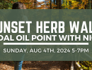 Herb Walk at Coal Oil Point