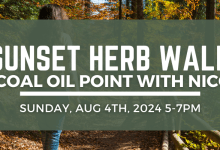 Herb Walk at Coal Oil Point