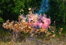 In and Beyond the Pink