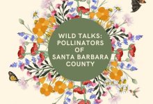 Wild Talk: “Pollinators of Santa Barbara County”