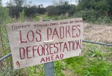 Los Padres National Forest Service Continues Fuel-Reduction Work Along West Camino Cielo