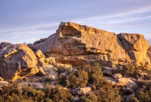 ForestWatch Fall Family Festival