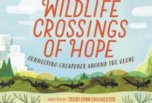 Chaucer’s Children’s Book Reading – “Wildlife Crossings of Hope”