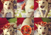 The Home Page | Relaxing Views and Hot Rod News