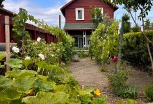 The Home Page | Fiesta Flavors and Road Trip Romance