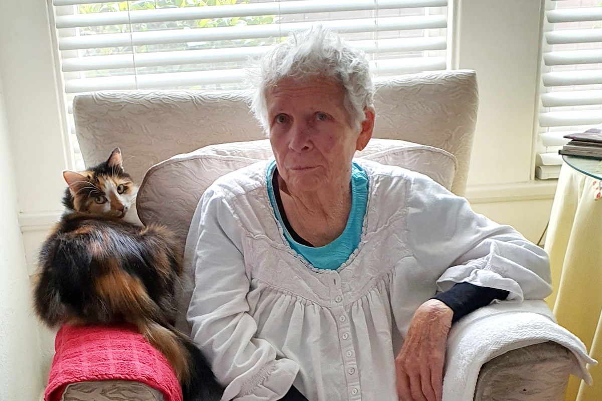 Basie the Cat - The Santa Barbara Independent