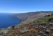 Collaboration Across Borders