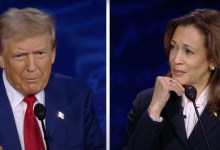 Dog Fight: Five Pugs, a Poodle, and Donald Trump