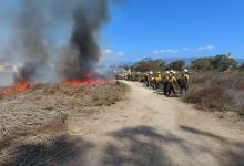 Campus Lagoon Prescribed Burn