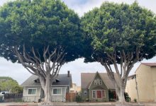 For a Better Eastside